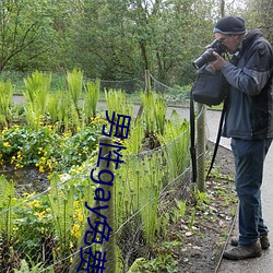 男性gay免(miǎn)费网站(zhàn)在线看