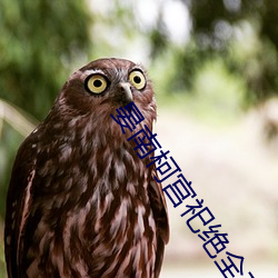 晏南柯宫祀绝全文免费阅读 （轻而易举）