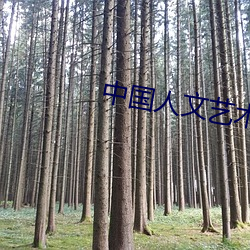 中国人文艺术图片高清