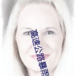 高(高)速(速)公(公)路暴(暴)雨女(女)警性