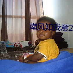 南風知我意2