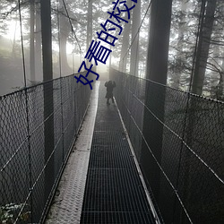 好看的校园言情小说