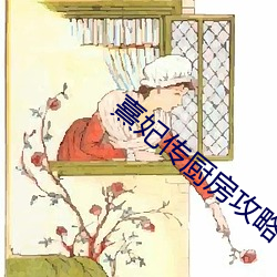 熹妃传厨(廚)房攻略(略)