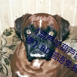 《葫芦娃葫芦里面不买药千万影片你需要》BD国语免费在线观