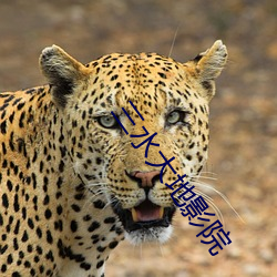 三(sān)水大(dà)地(dì)影院