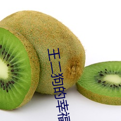 凯时|AG(AsiaGaming)优质运营商