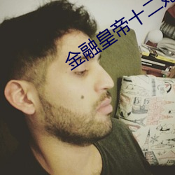 金(jīn)融皇帝十二妃
