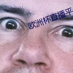 欧洲杯直播平台