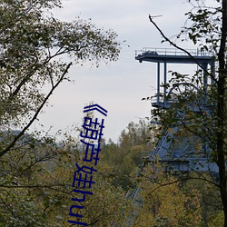 《葫芦娃huluwa葫芦里面不卖药》正片完整版播放 （歇后语）