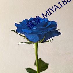 蜜芽.MIYA188.CNN網站