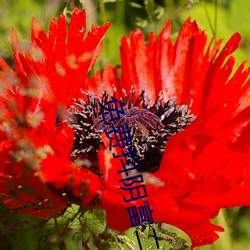 免(miǎn)费抖阴富二代