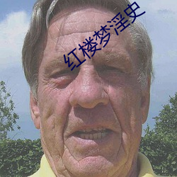 红(hóng)楼梦淫史