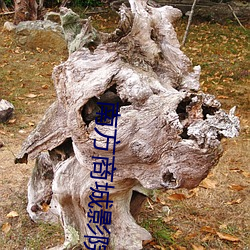 南方商城影院