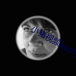 小猪视频app导航