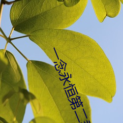 一念永恒第二季全集免费观看 （闪失）