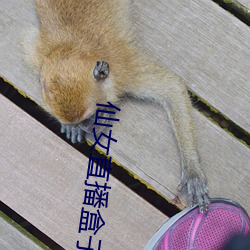 仙(仙)女直播(播)盒子app