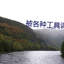 被各种工具调教花核