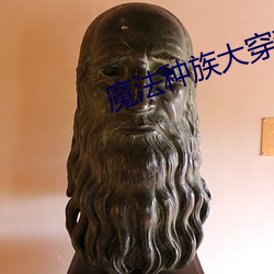 魔法种族大穿越