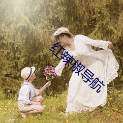 紅辣椒導航