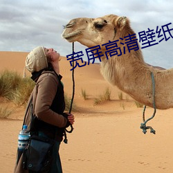 宽屏高清壁纸