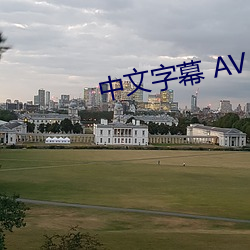 中文字幕 AV （卻之不恭）