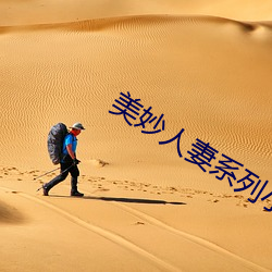 美妙人妻系列小说 （手疾眼快）