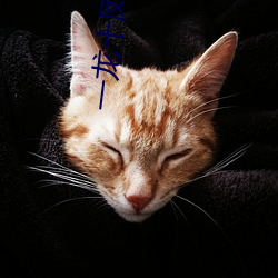 一龙十凤一母(mǔ)一女