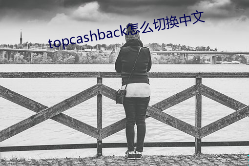 topcashback怎麽切換中文