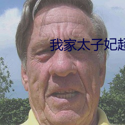 我家太子妃超凶的(de)