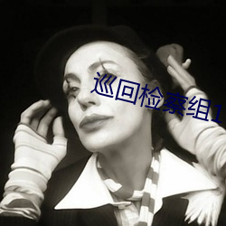 巡回檢察組1