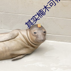 其实楠木可依 （酌水知源）