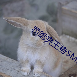 罚(罰)跪夹(夾)玉势SM调教NP