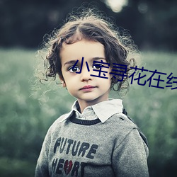 小宝寻花在线