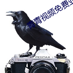 青青视频免费亚瑟观看 （压锭）