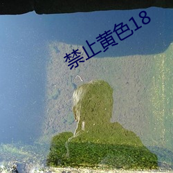 禁止黃色18