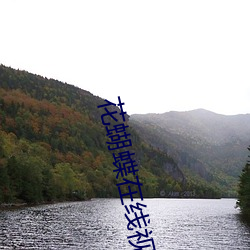 花蝴蝶在线视频免费观看(kàn)中