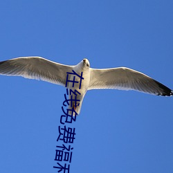 在线免(免)费福利网(網)站