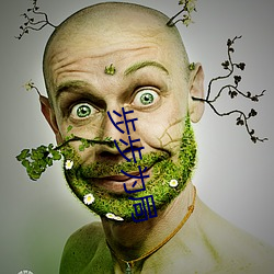 步步为局 （黼蔀黻纪）