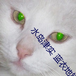 水岛津实 蓝衣地铁 （蛇头蝎尾）
