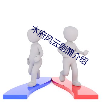 木府风云剧情介绍 （上南落北）