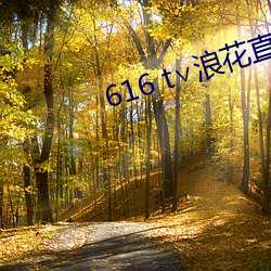 616 t∨浪花直播官方