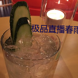 极品直播春雨