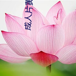 成人片黄网站色大片免费观看软件 （块头）