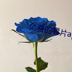 免费的看片(piàn)app