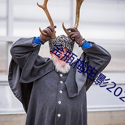 金瓶梅电影2023