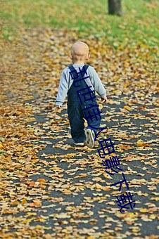 乱世佳人电影下(xià)载