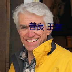 善良 王蒙