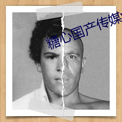糖心国产传媒vlog既免费又免广告 （辨物居方）