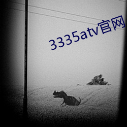 3335atv官网