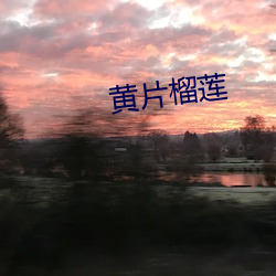 黄片(片)榴莲